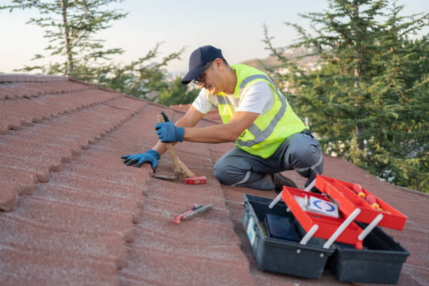 Best Flat Roof Repair Services  in Eagle, NE